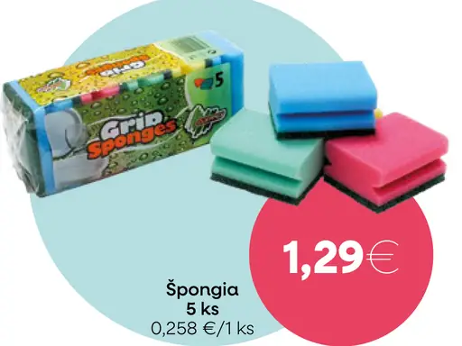 Špongia