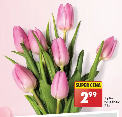 Veľká kytica tulipánov