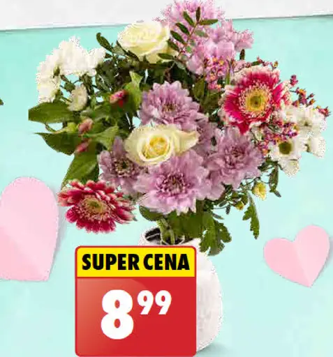 Kytička frézií