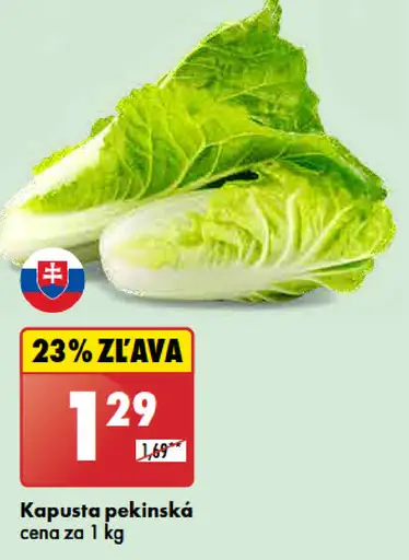 Kapusta pekinská