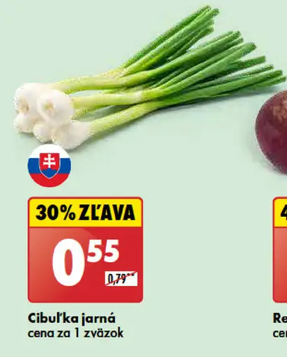 Cibuľka jarná