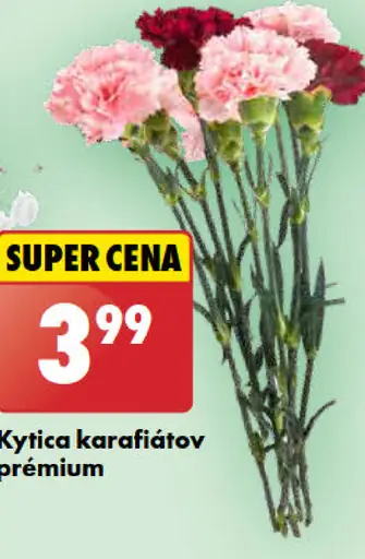 Kytica karafiátov prémiová
