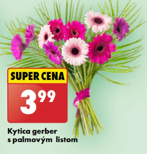 Kytica gerber s palmovým listom