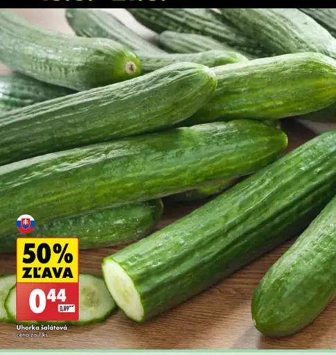 Uhorka šalátová