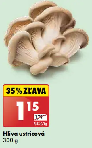 Hliva ustricová
