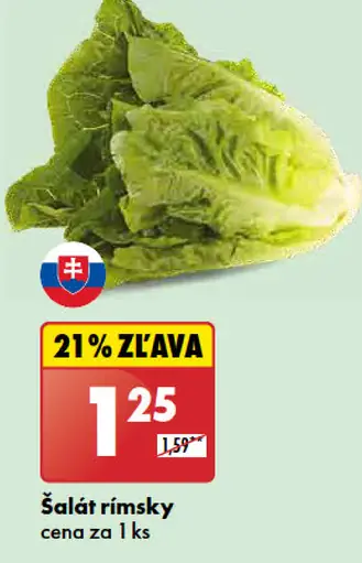 Šalát rímsky