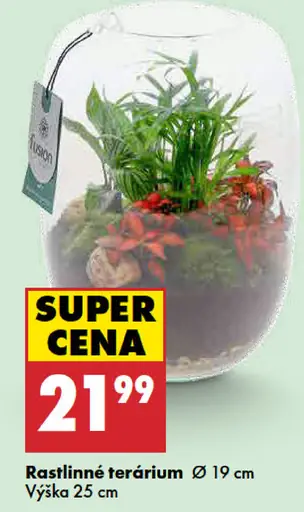 Rastlinné terárium