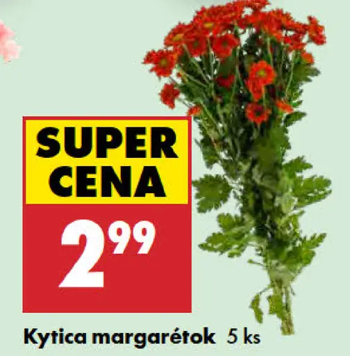 Kytica Margarétok