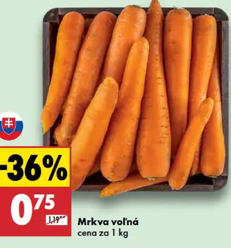 Mrkva voľná
