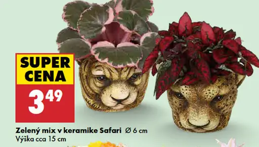 Zelený mix v keramike Safari