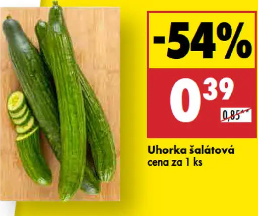 Uhorka šalátová