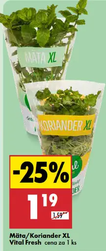 Vital Fresh Mäta/Koriander XL