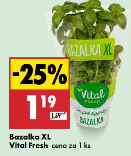 Vital Fresh Bazalka XL