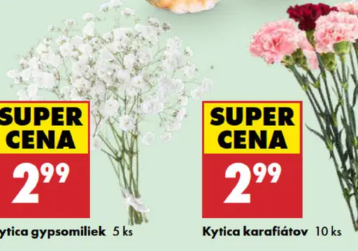 Kytica Gypsomiliek