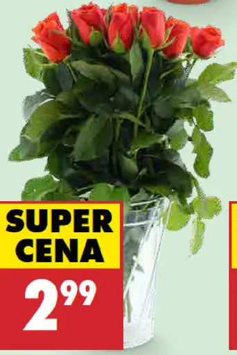 Kytica ruží