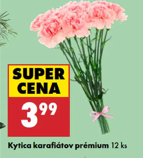 Kytica karafiátov prémiová