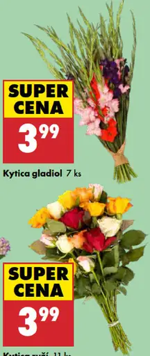 Kytica gladiol