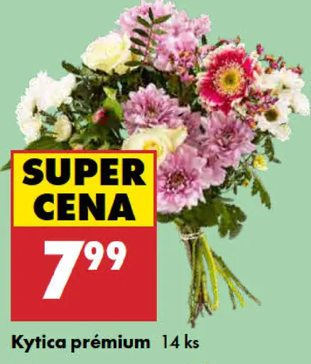 Kytica Premium