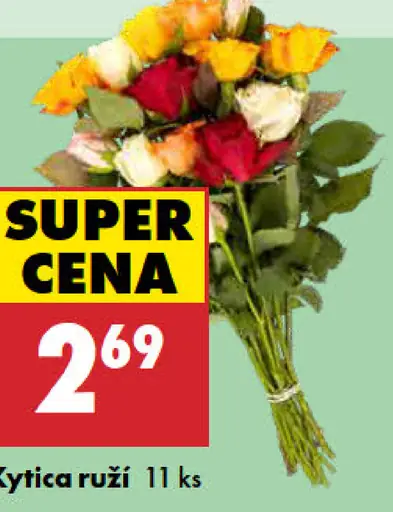 Kytica ruží