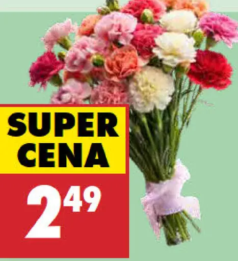Kytica karafiátov prémiová