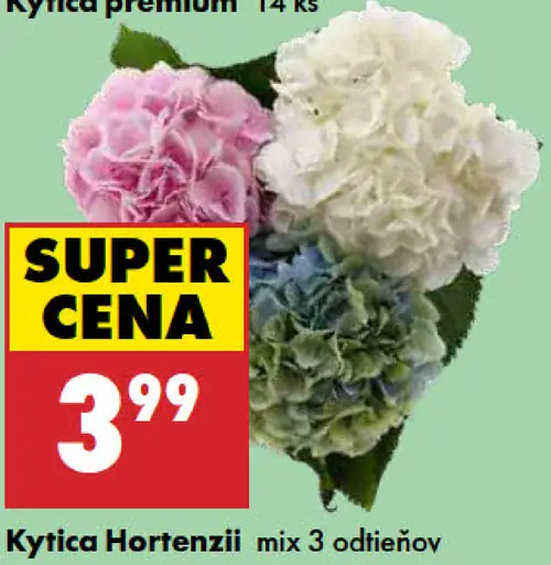 Kytica Hortenzie mix 3 odtieňov