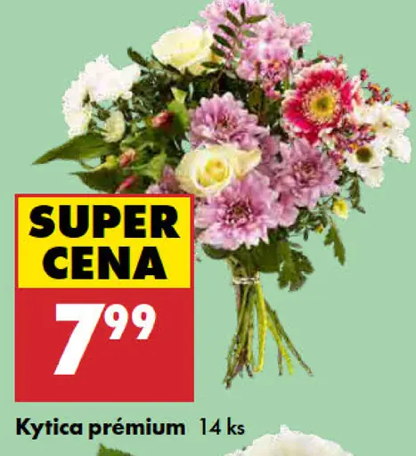 Kytica prémiová