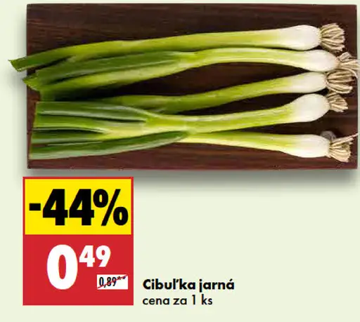 Cibuľka jarná