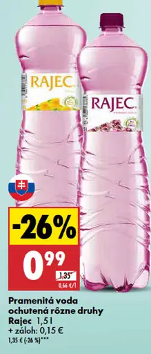 Rajec Pramenitá voda sýtená