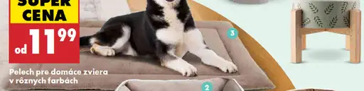 ActivPet Pelech pre domáce zviera