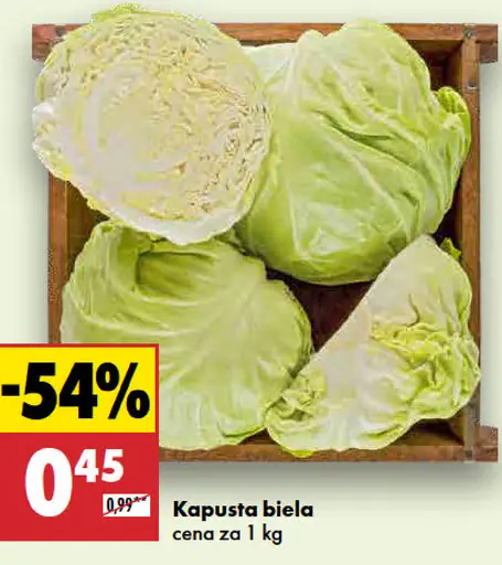 Kapusta biela