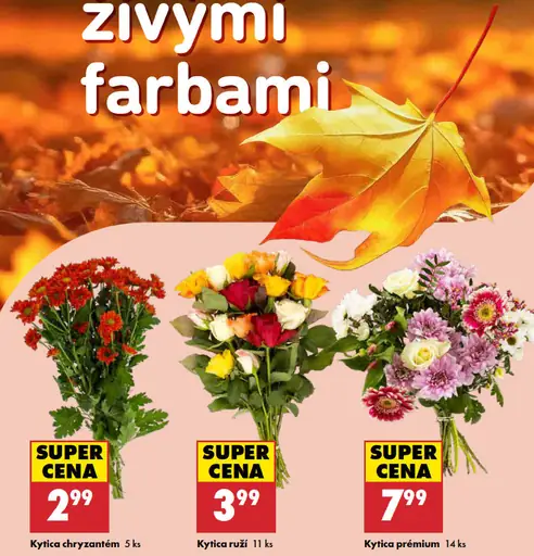 Kytička prémium