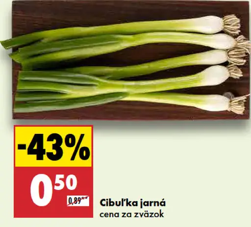 Cibuľka jarná