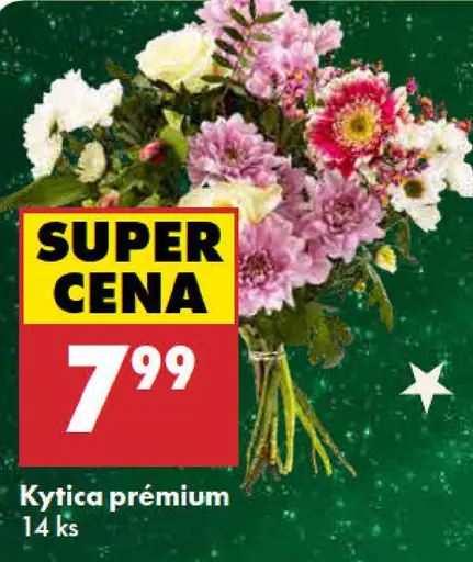 Kytica Premium
