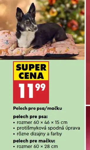 Pelech pre psa/mačku