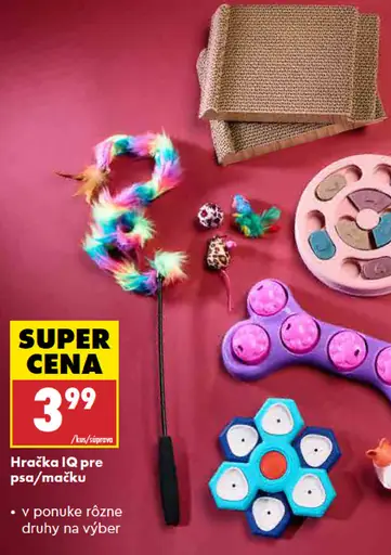 Hračka IQ pre psa/mačku