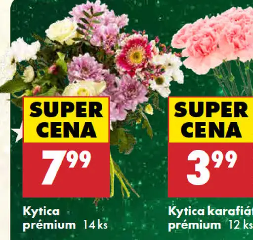 Kytica Premium