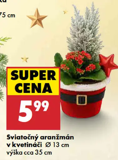 Vianočný aranžmán v zinkovom kvetináči