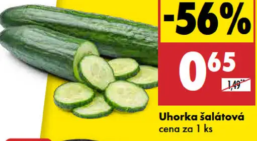 Uhorka šalátová