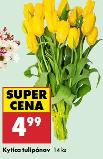 Veľká kytica tulipánov