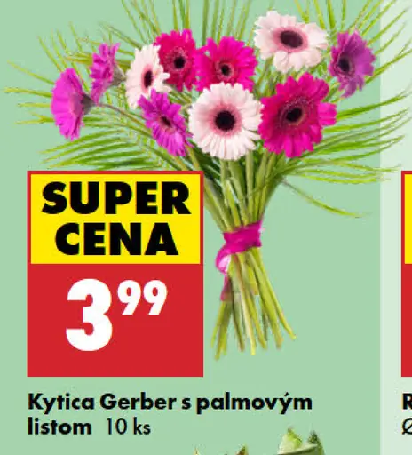 Kytica gerber s palmovým listom