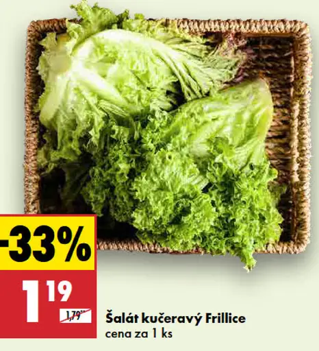 Šalát kučeravý Frillice