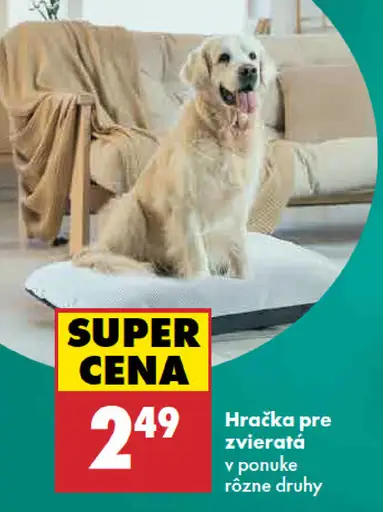 Activpet Hračka pre zvieratá