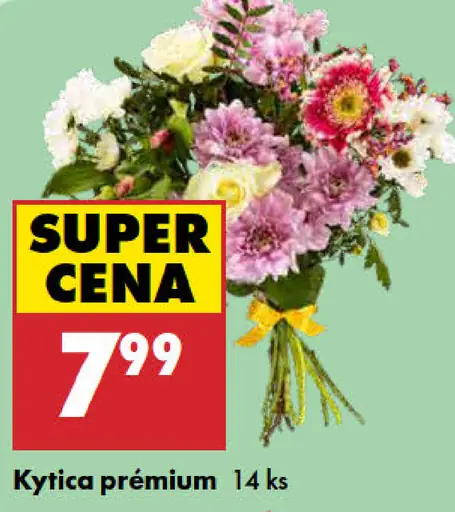 Kytica prémium 14 ks