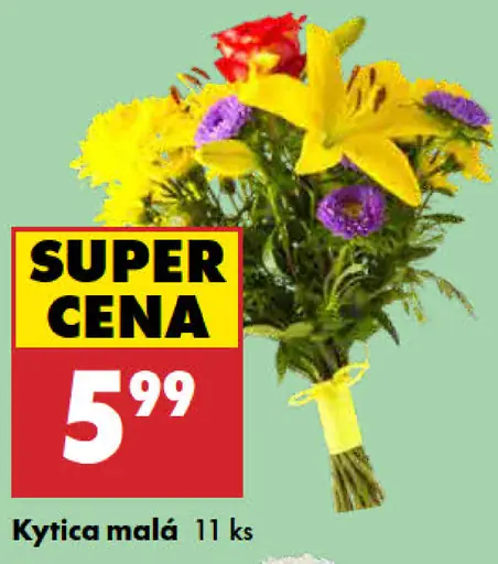 Kytica malá 11 ks