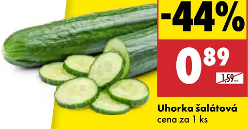 Uhorka šalátová