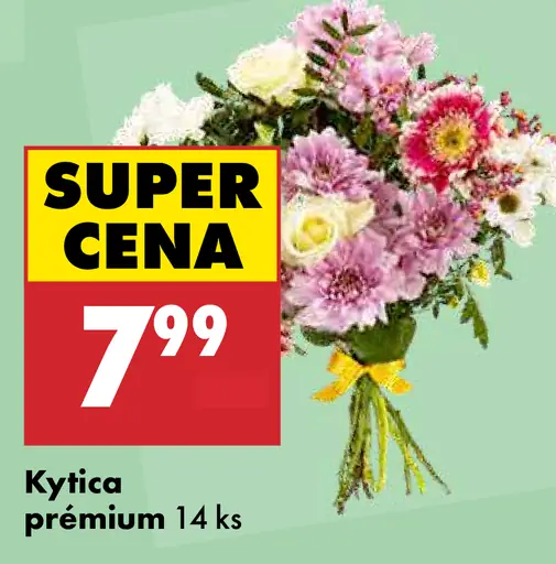 Kytica Premium