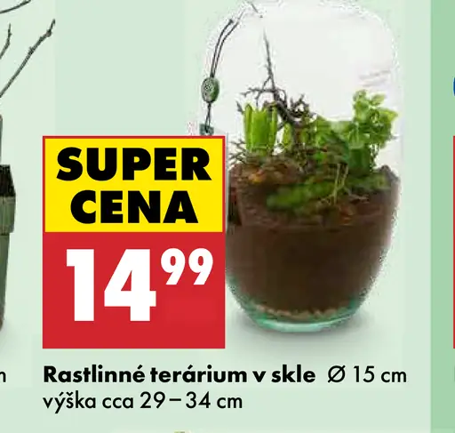 Rastlinné terárium v skle
