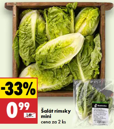 Šalát Rímsky mini