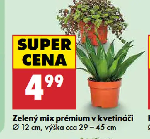 Zelený mix v kvetináči