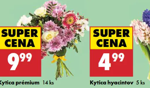 Kytica Premium